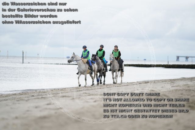 s_K3F04729.JPG